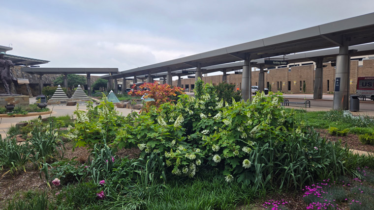 exterior of airport with abundant foliage in foreground