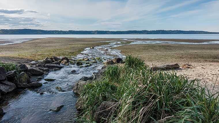 Water nutrients found in running water