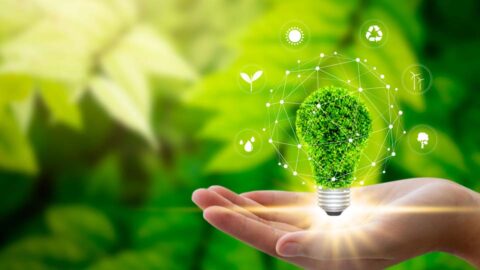 green plants surround hand holding graphic of environmental light bulb with sustainability ideas