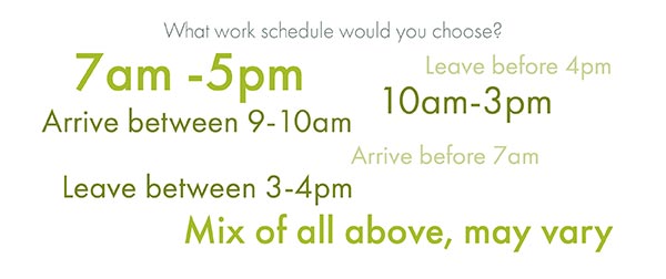 What work schedule would you choose infographic