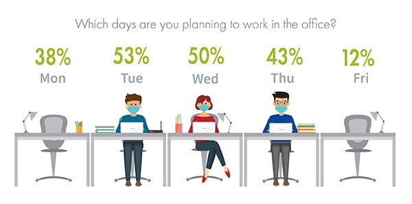Which days are you planning to work in the office infographic