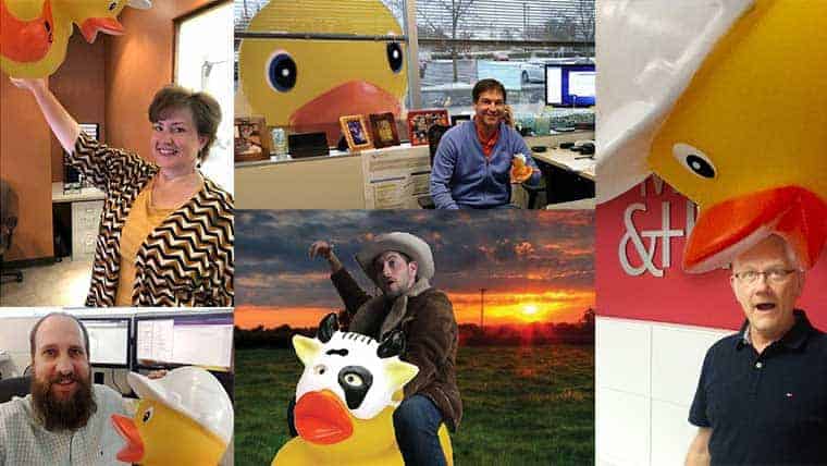 Collage or employees with rubber duck