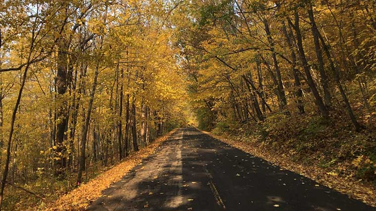 Kettle Moraine State Forest