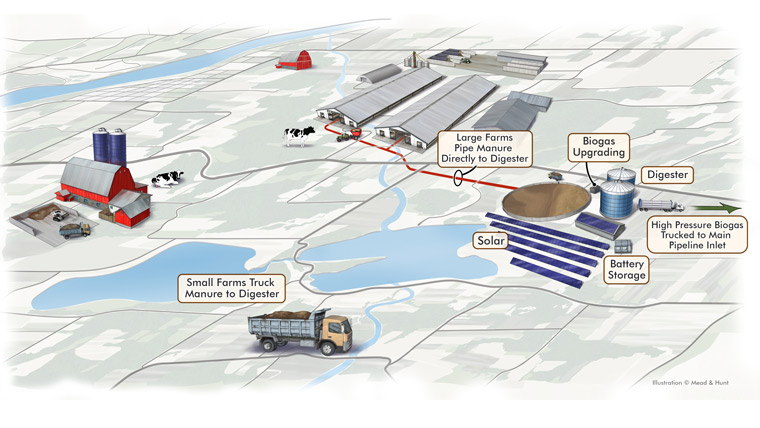 an illustration shows how the farm uses solar and battery storage are used for biogas upgrading in a digester to turn manure to high pressure biogas