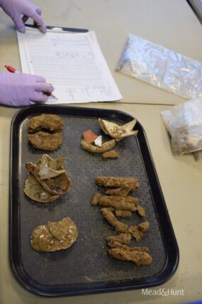 Artifacts on a tray in a lab