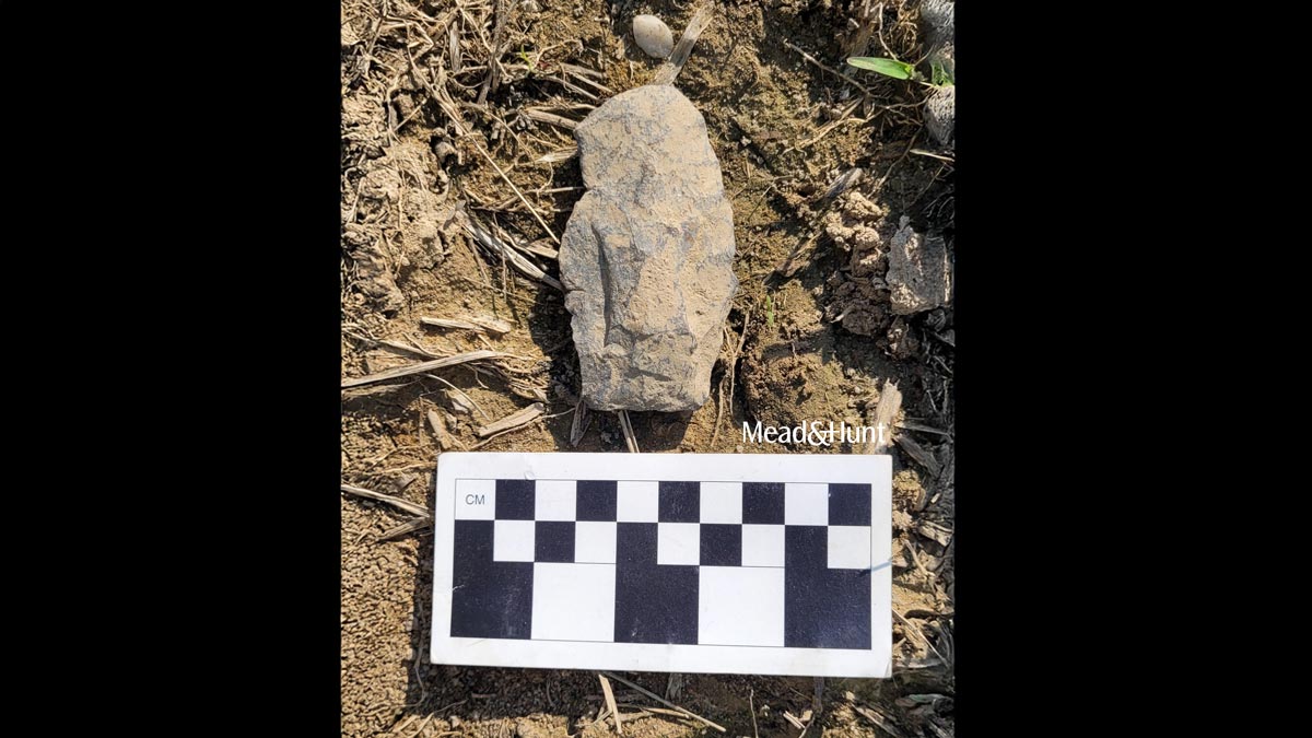 Projectile point in dirt next to a measuring stick.