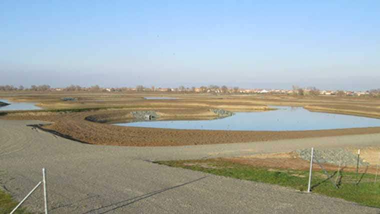 Natomas levee and surrounding environment