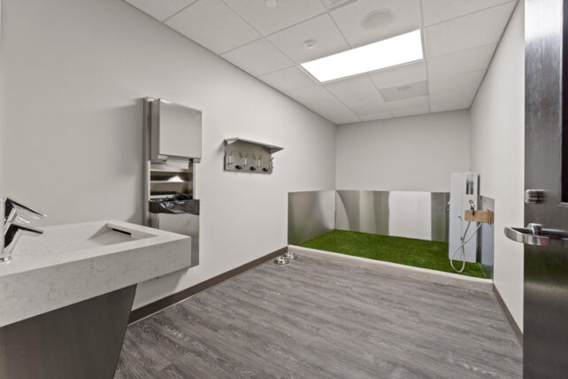 Indoor service animal relief area featuring artificial turf, a rinse station, water bowls, waste disposal supplies, and a nearby sink.