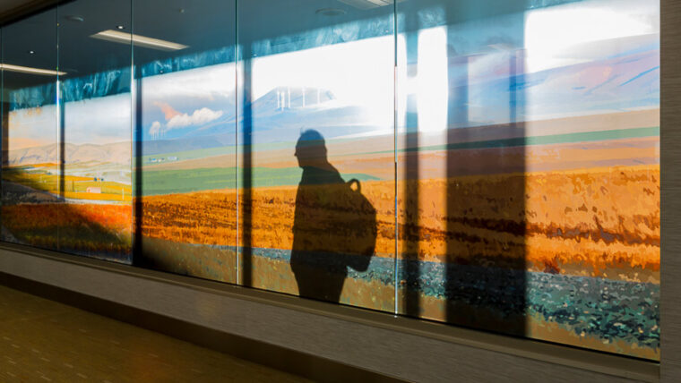 a distinct shadow of a passenger appears on a large mural of farmland