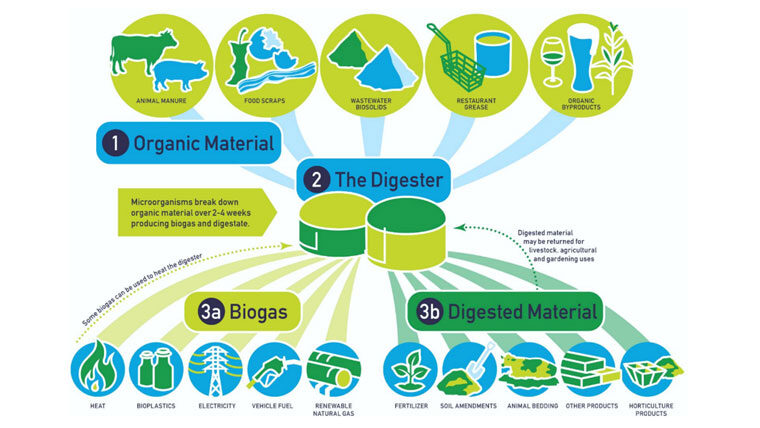 infographic shows how organic material enters the digester and is turned into biogas like fuel, electricity and bioplastics, and digested material like fertilizer and horticulture products
