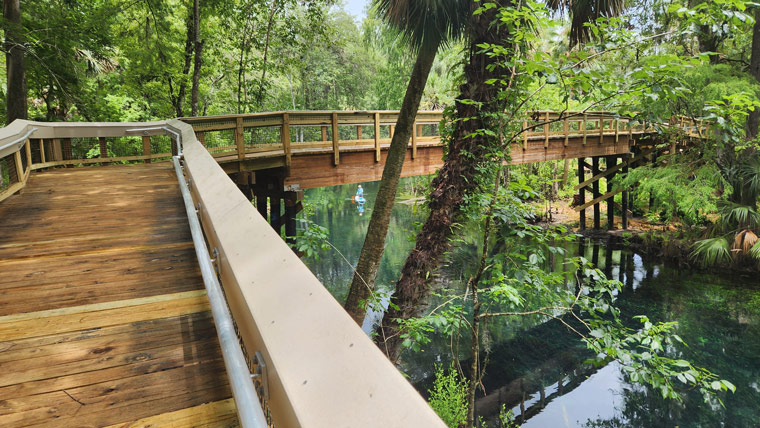 wooden boardwalk surrounded by vibrant green foliage and water below