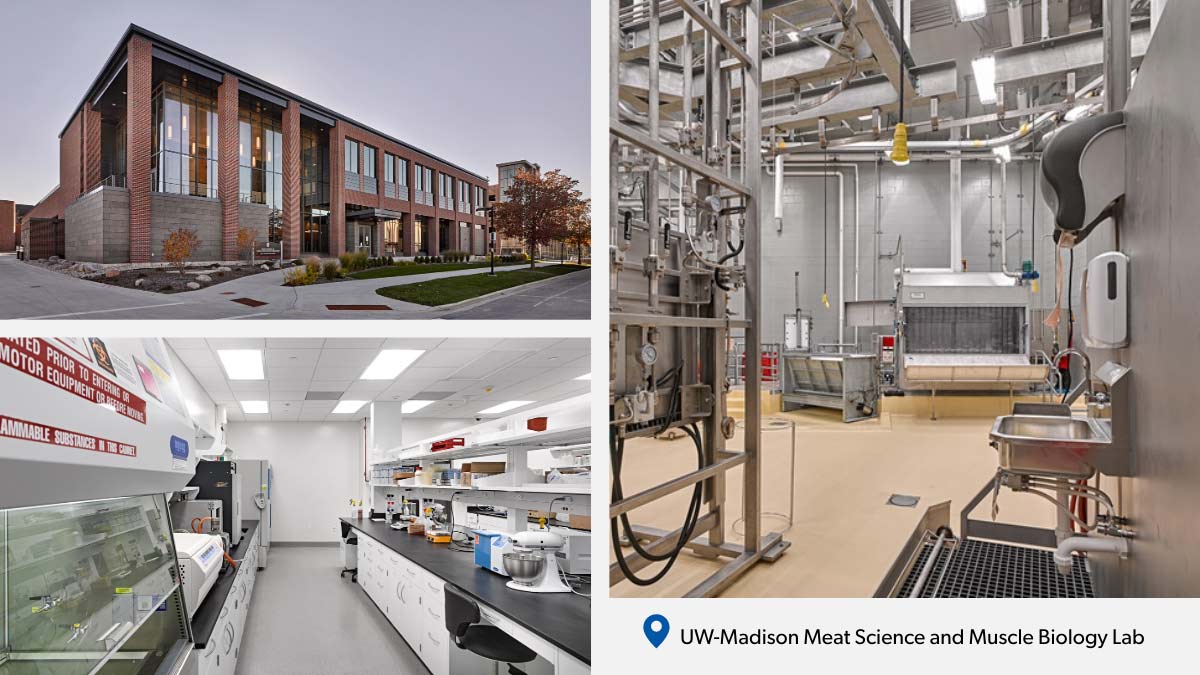 the exterior, lab space, and meat packing space at UW-Madison's Meat Science and Muscle Biology Lab