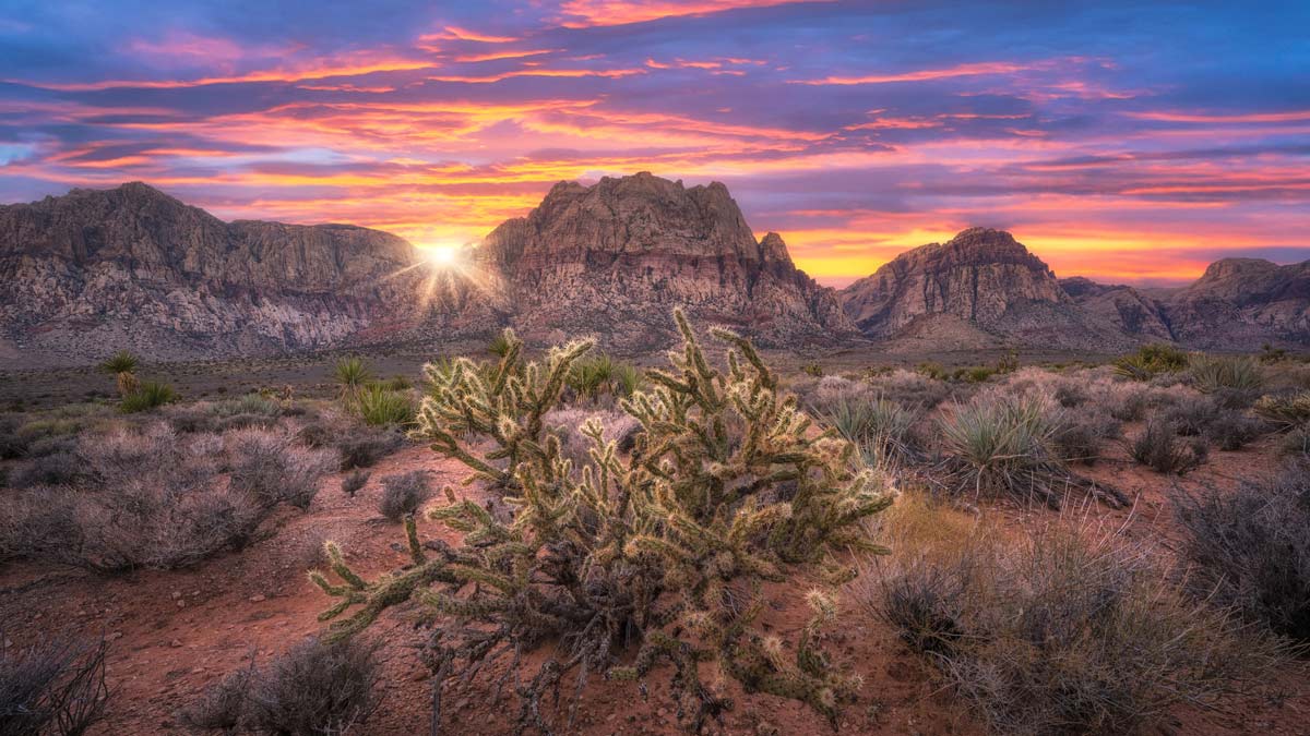 the sun sets in the Navada desert casting the rocky mountains and cactus under a pink and purple sky