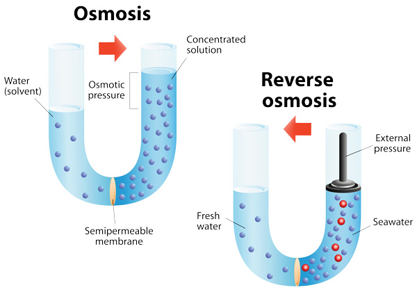 diagram showing reverse and forward osmosis