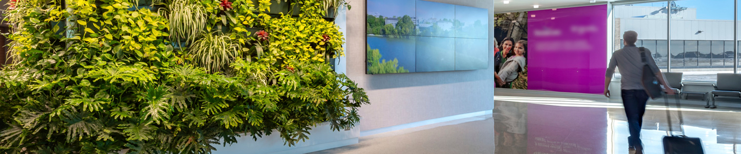 a passenger walks past a biophilia wall full of green, lush plants in the airport