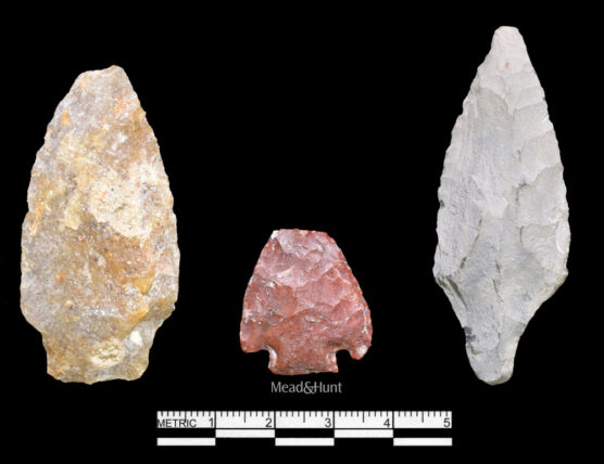 Stone projectile points, differing in size and color. They are grey, red, and yellow.